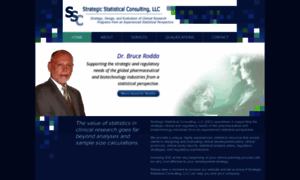 Strategicstatisticalconsulting.com thumbnail