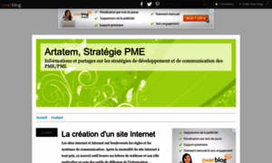 Strategie-pme.over-blog.com thumbnail
