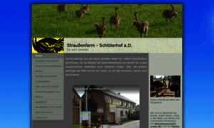 Straussenfarm-schlueterhof.de thumbnail