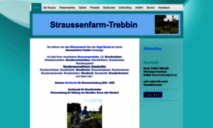 Straussenfarm-trebbin.de thumbnail