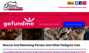 Strawberrypersianpedigreecatrescue.co.uk thumbnail