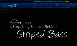 Stripedbassmagic.org thumbnail