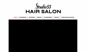 Studio55hairsalon.com thumbnail