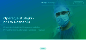 Stulejka-poznan.pl thumbnail