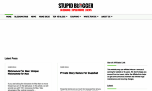 Stupidblogger.com thumbnail