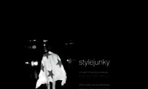 Stylejunky.fr thumbnail