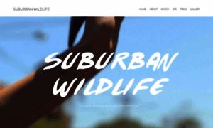 Suburbanwildlifefilm.com thumbnail