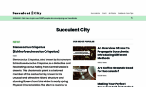 Succulentcity.com thumbnail