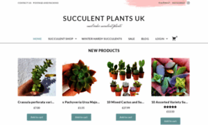 Succulentplants.uk thumbnail