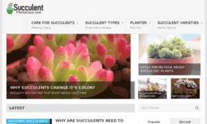 Succulentplantscare.com thumbnail