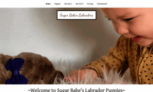 Sugarbabeslabradors.com thumbnail