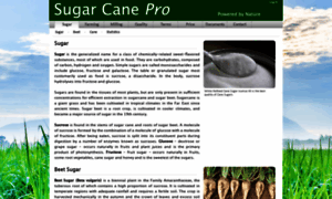 Sugarcanepro.com thumbnail