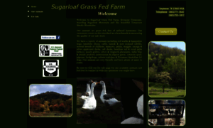 Sugarloafgrassfedfarm.com thumbnail