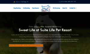 Suitelifepetresort.com thumbnail