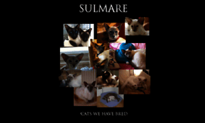 Sulmare.co.uk thumbnail