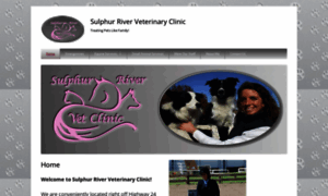 Sulphurriverveterinaryclinic.com thumbnail