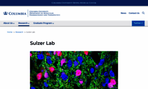 Sulzerlab.org thumbnail