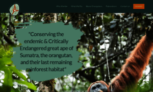 Sumatranorangutan.org thumbnail