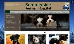 Summersideanimalhospital.com thumbnail