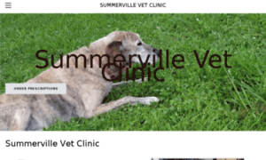 Summervillevetclinic.com thumbnail