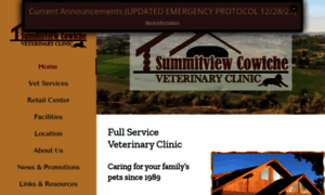 Summitviewvet.com thumbnail