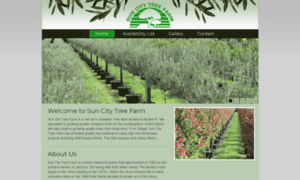 Suncitytrees.com thumbnail