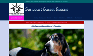 Suncoastbassetrescue.org thumbnail