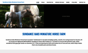 Sundanceminihorses.com thumbnail