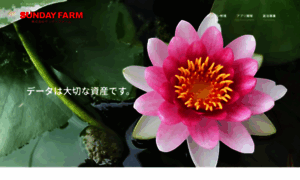 Sundayfarm.co.jp thumbnail
