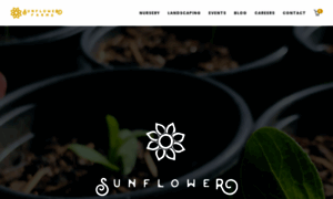 Sunflowerfarmsnursery.com thumbnail