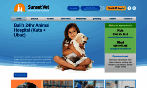 Sunsetvetbali.com thumbnail