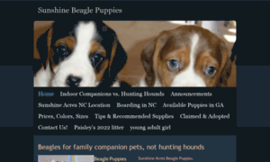 Sunshinebeaglepups.com thumbnail