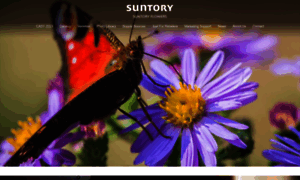 Suntoryflowers.com thumbnail