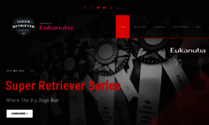 Superretrieverseries.com thumbnail