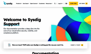 Support.sysdig.com thumbnail