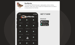 Surfbirds.mobapp.at thumbnail