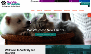 Surfcitypet.com thumbnail