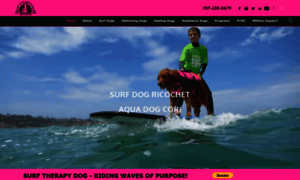 Surfdogricochet.com thumbnail