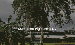 Surinamepigfarms.sr thumbnail