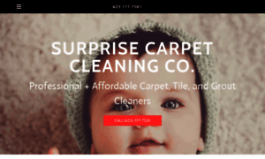 Surprisecarpetcleaningco.com thumbnail