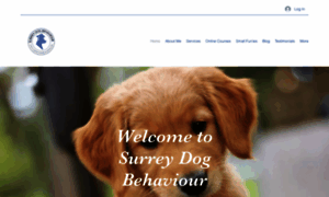 Surreydogbehaviour.com thumbnail