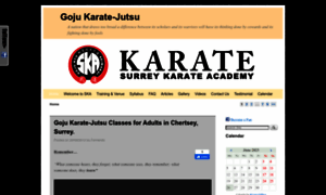 Surreykarateacademy.co.uk thumbnail