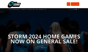 Surreystormnetball.co.uk thumbnail