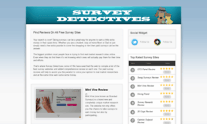 Surveydetectives.co.uk thumbnail