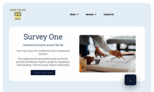 Surveyone.co.uk thumbnail