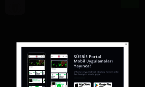 Susbirportal.com thumbnail