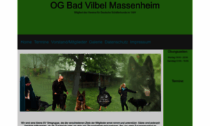 Sv-og-bv-massenheim.de thumbnail