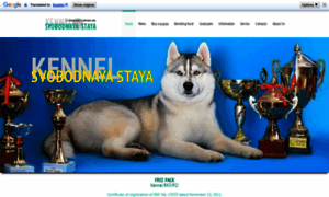 Svobodnaya-staya.com thumbnail