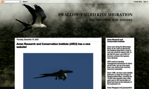 Swallow-tailedkites.org thumbnail