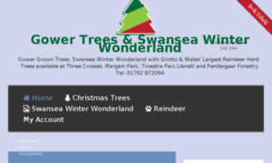 Swansea-winter-wonderland.co.uk thumbnail